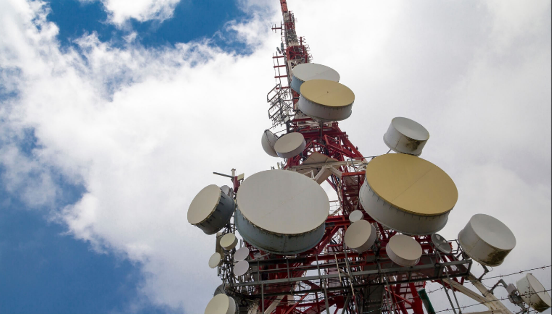 AIRTELEAFRI: 52-week high and share buyback — what's driving the rally